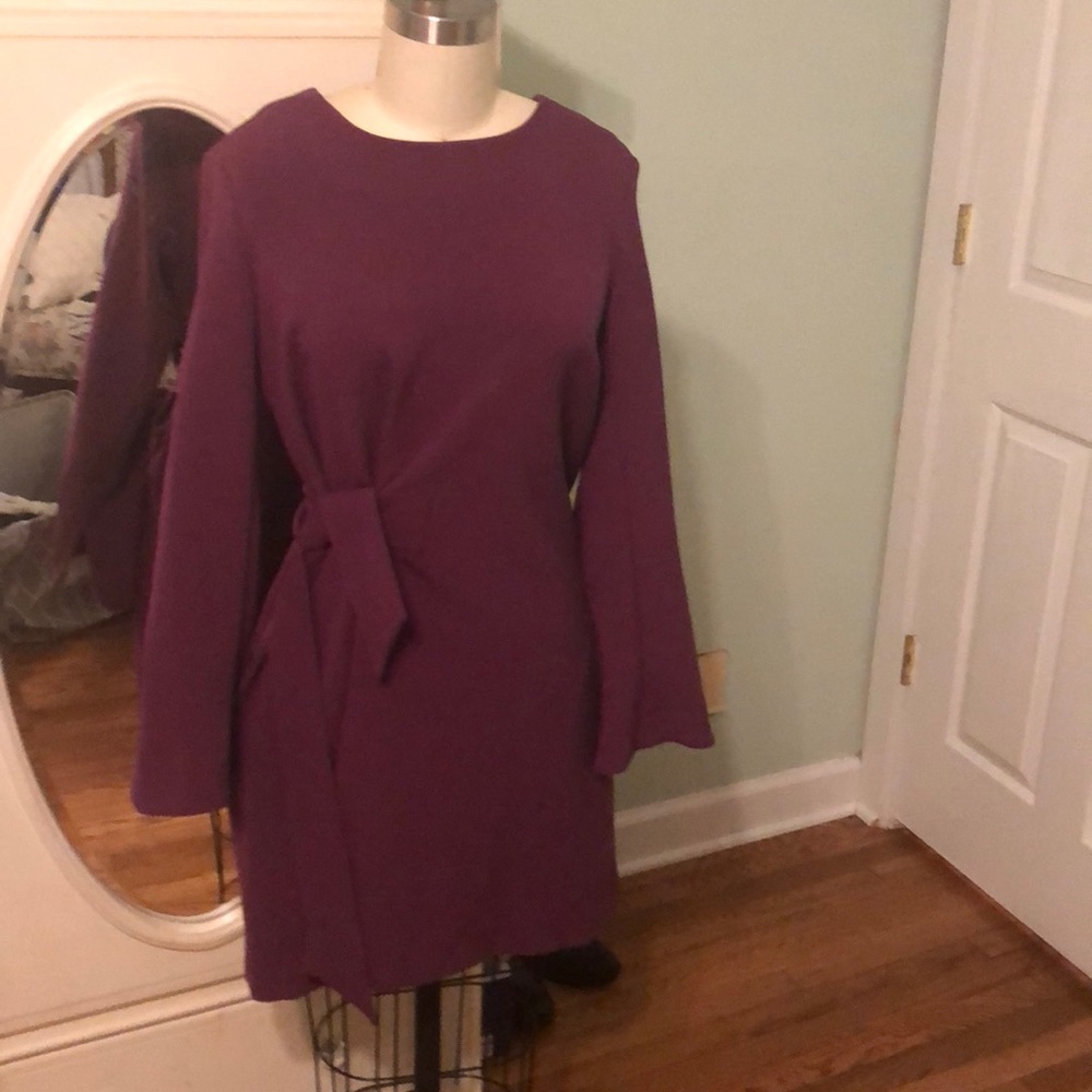 Rachel Roy Dress